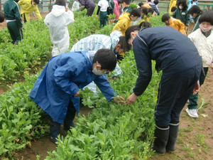 Cimg0768 Cimg0768