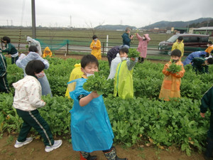 Cimg0770 Cimg0770