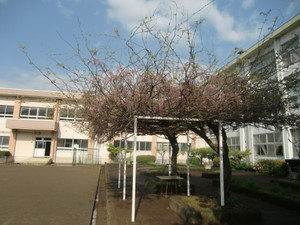 Cimg1218