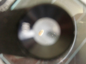 Cimg2556