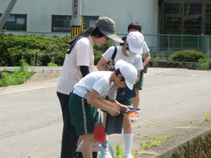 Cimg2730 Cimg2730